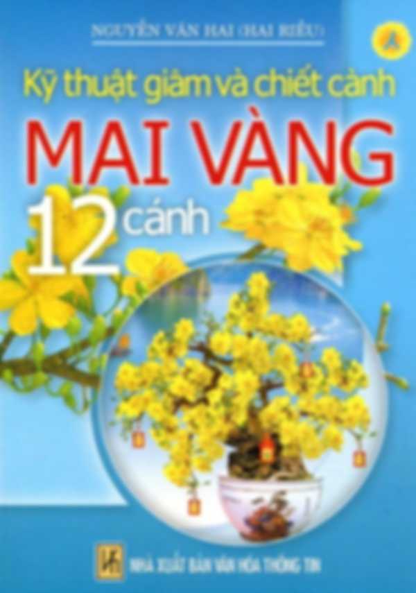 Kỹ Thuật Giâm Cành Và Chiết Cành Mai Vàng 12 Cánh