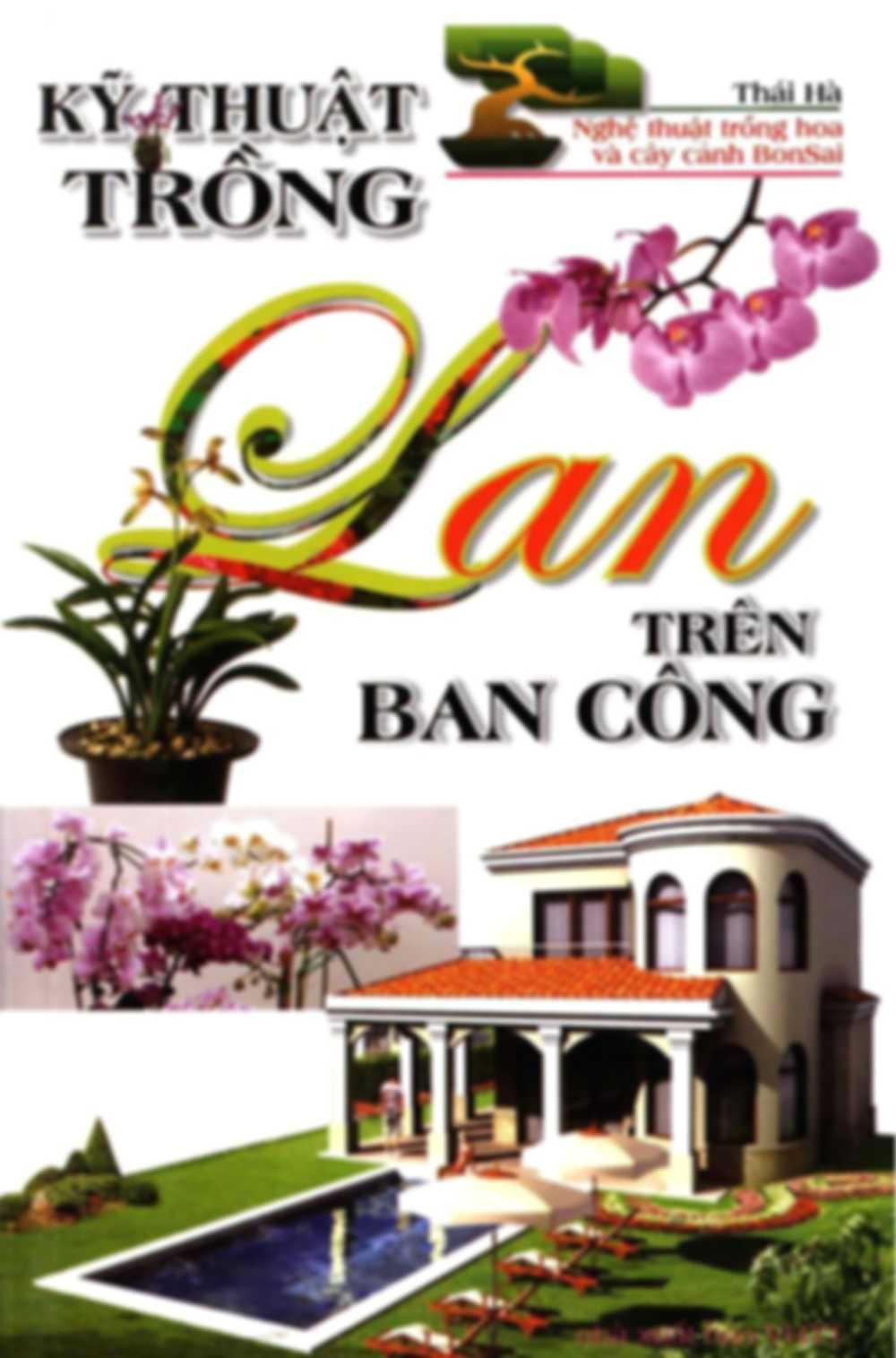 Kỹ Thuật Trồng Lan Trên Ban Công
