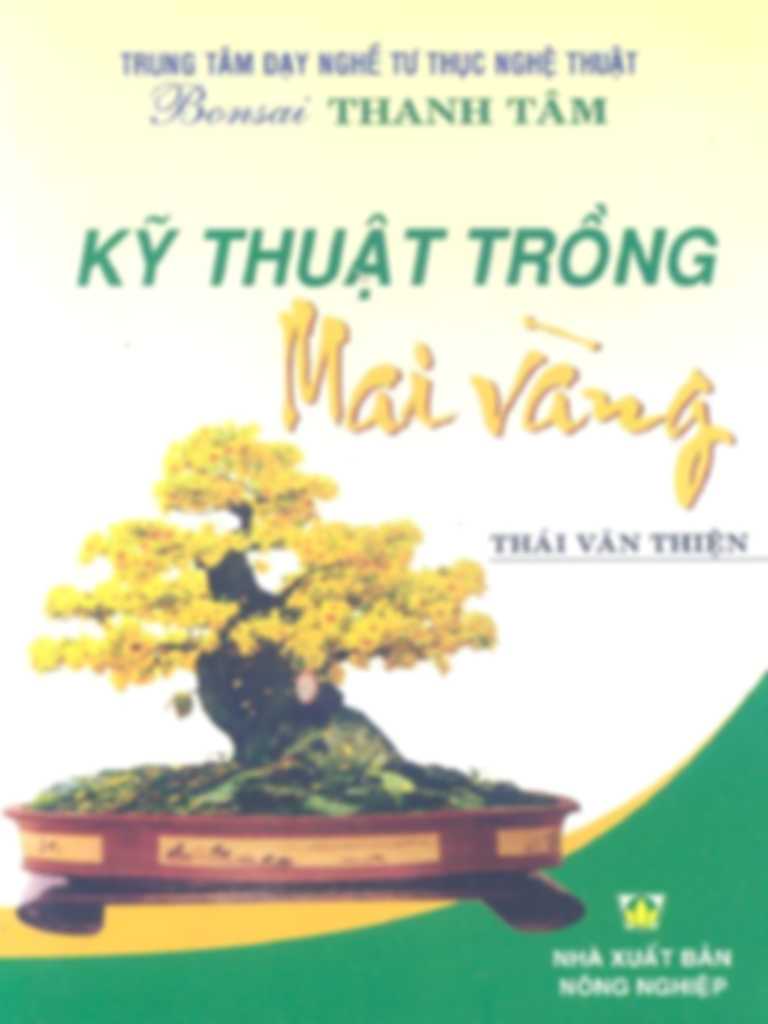 Kỹ Thuật Trồng Mai Vàng – Thái Văn Thiện