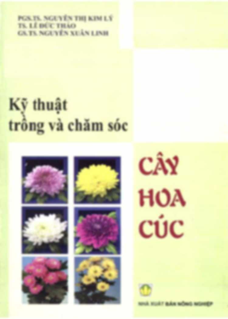 Kỹ Thuật Trồng Và Chăm Sóc Cây Hoa Cúc