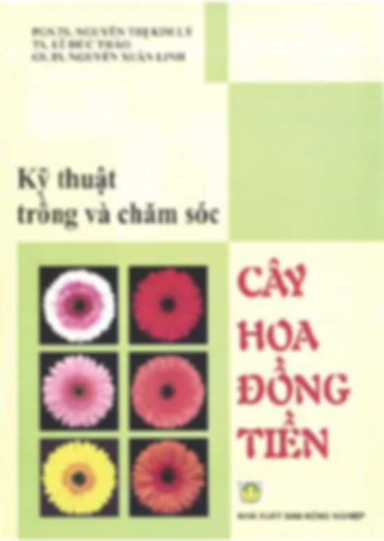 Kỹ Thuật Trồng Và Chăm Sóc Cây Hoa Đồng Tiền