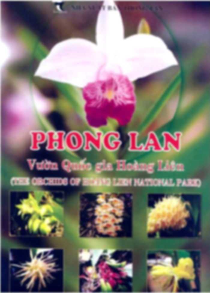Phong Lan Vườn Quốc Gia Hoàng Liên