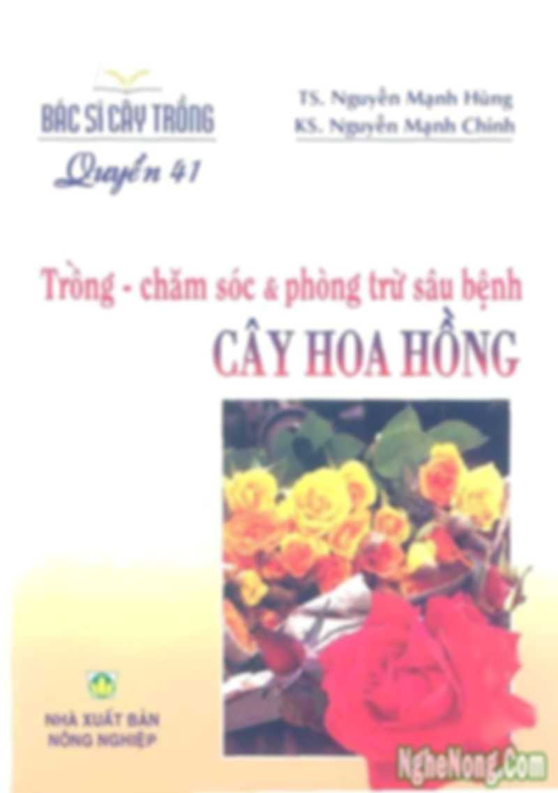 Trồng – Chăm Sóc Và Phòng Trừ Sâu Bệnh Cây Hoa Hồng
