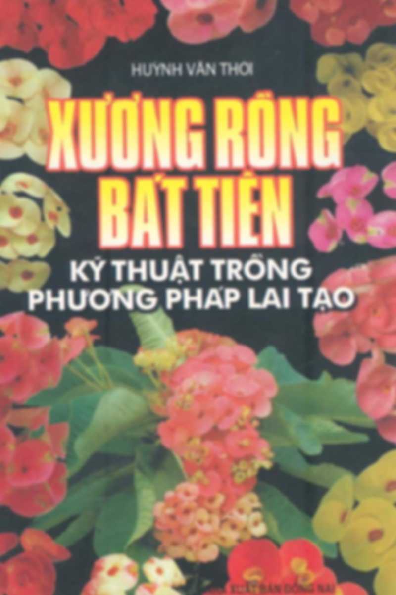 Xương Rồng Bát Tiên Kỹ Thuật Trồng Phương Pháp Lai Tạo
