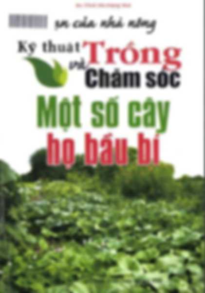Kỹ thuật trồng và chăm sóc một số cây họ bầu bí