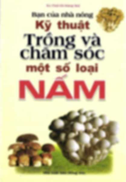 Kỹ thuật trồng và chăm sóc một số loại nấm