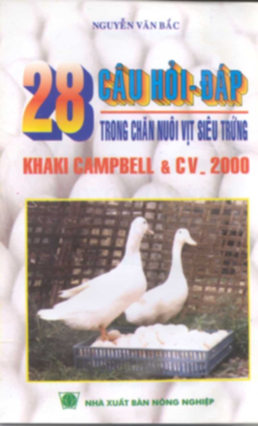 28 Câu Hỏi Đáp Trong Chăn Nuôi Vịt Siêu Trứng