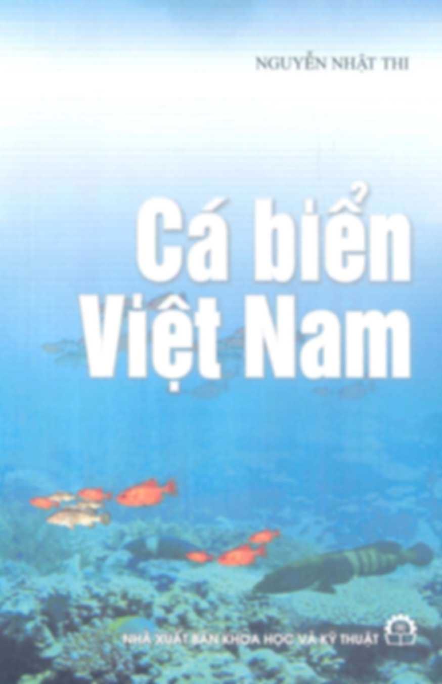 Cá biển Việt Nam