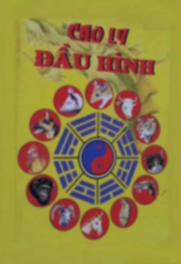 Cao ly đầu hình