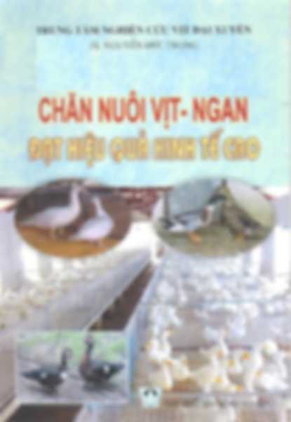 Chăn nuôi vịt - ngan đạt hiệu quả kinh tế cao