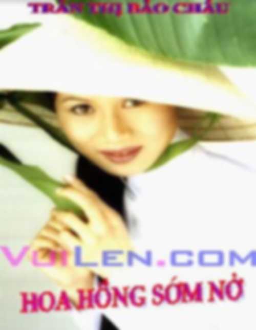 Hoa Hồng Sớm Nở