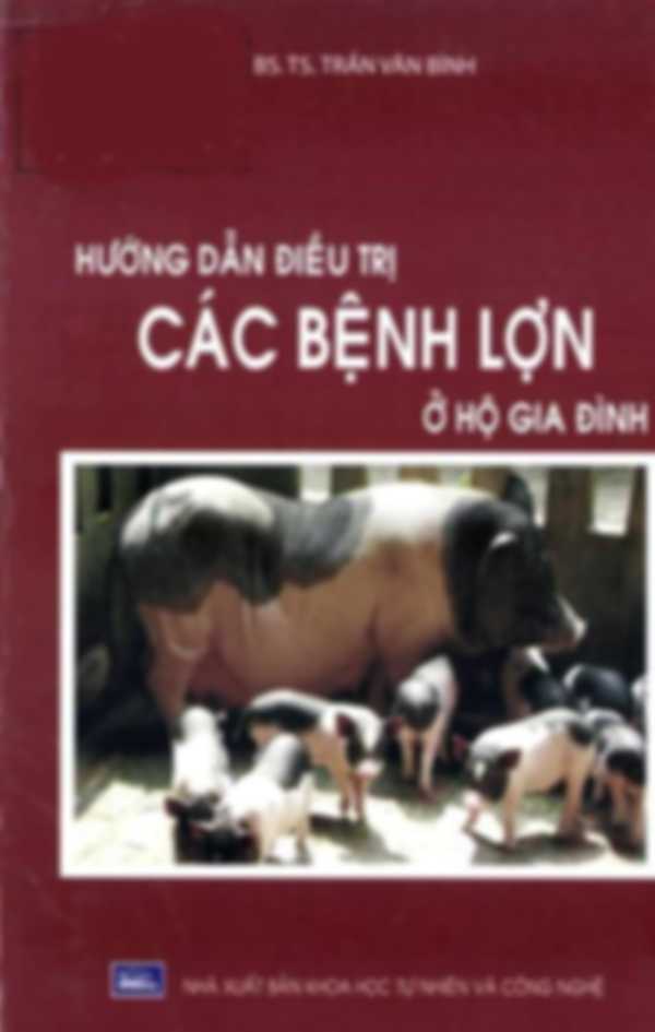 Hướng dẫn điều trị các bệnh lợn ở hộ gia đình