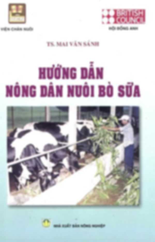 Hướng dẫn nông dân nuôi bò sữa