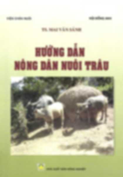 Hướng dẫn nông dân nuôi trâu