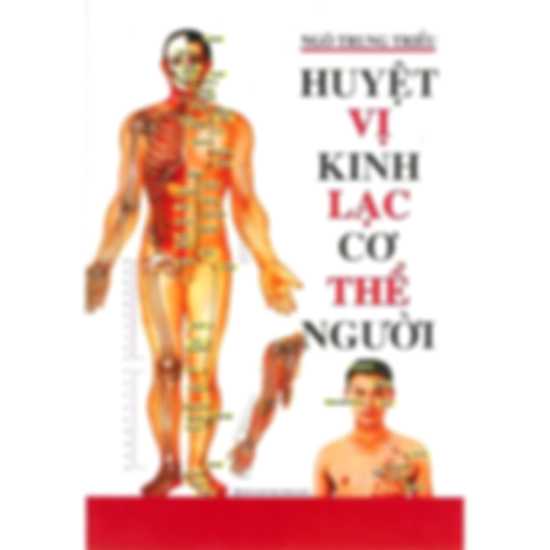 Huyệt Vị Kinh Lạc Cơ Thể Người