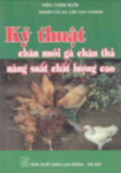 Kỹ thuật chăn nuôi gà chăn thả năng suất chất lượng cao