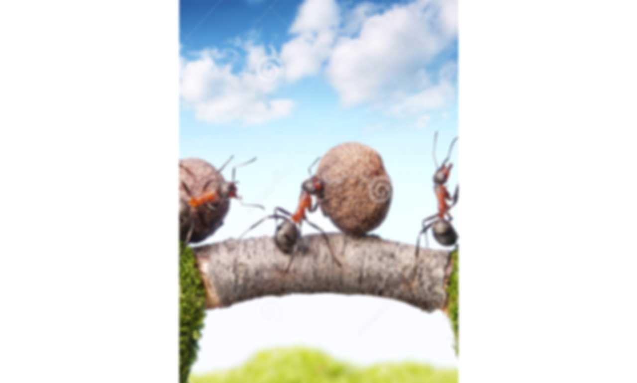 Bổn Phận Và Trách Nhiệm